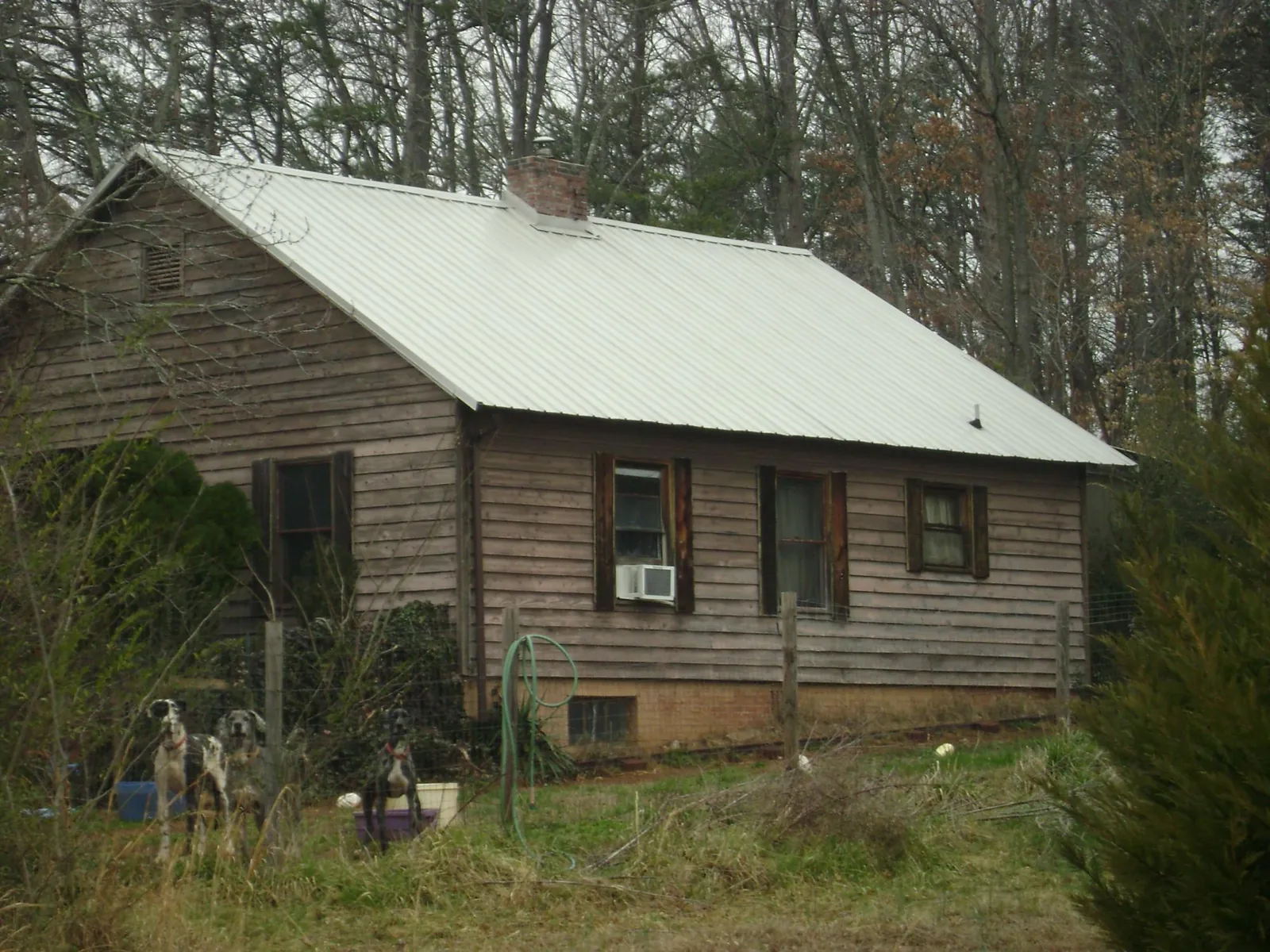 White metal roof on an old wood sided farmhouse, from a Asphalt Shingle Roof Repair job in Alvada